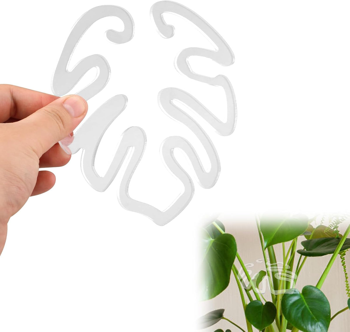 Transparent acrylic plant pot in the shape of a Monstera leaf | Invisible stem support for indoor potted plants 🌿