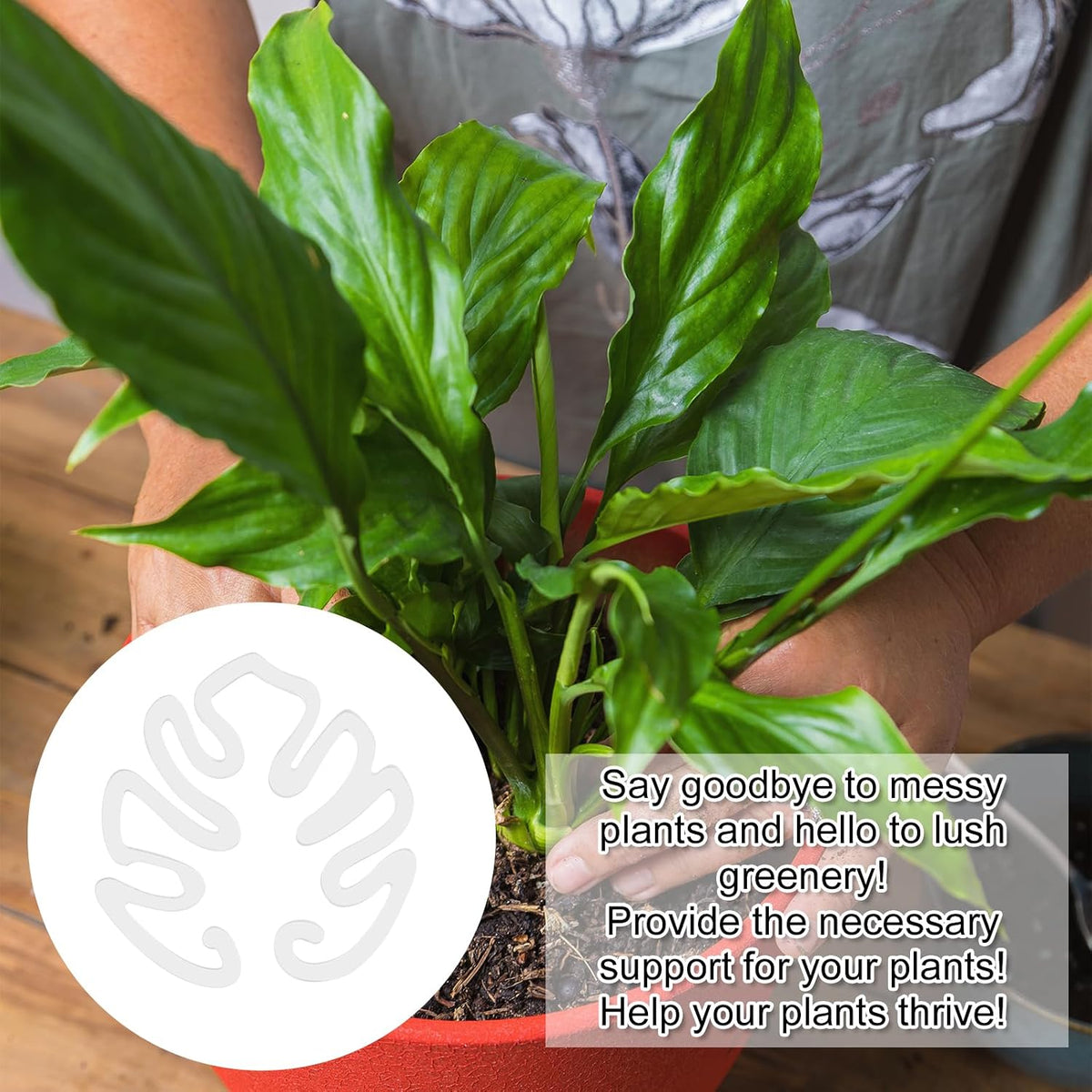 Transparent acrylic plant pot in the shape of a Monstera leaf | Invisible stem support for indoor potted plants 🌿