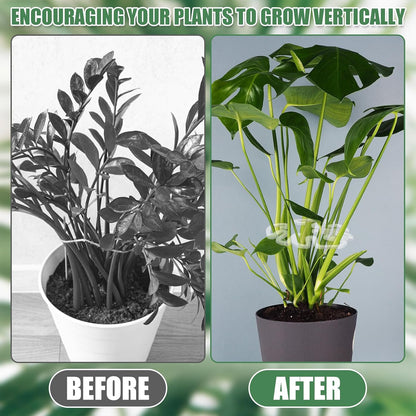 Transparent acrylic plant pot in the shape of a Monstera leaf | Invisible stem support for indoor potted plants 🌿